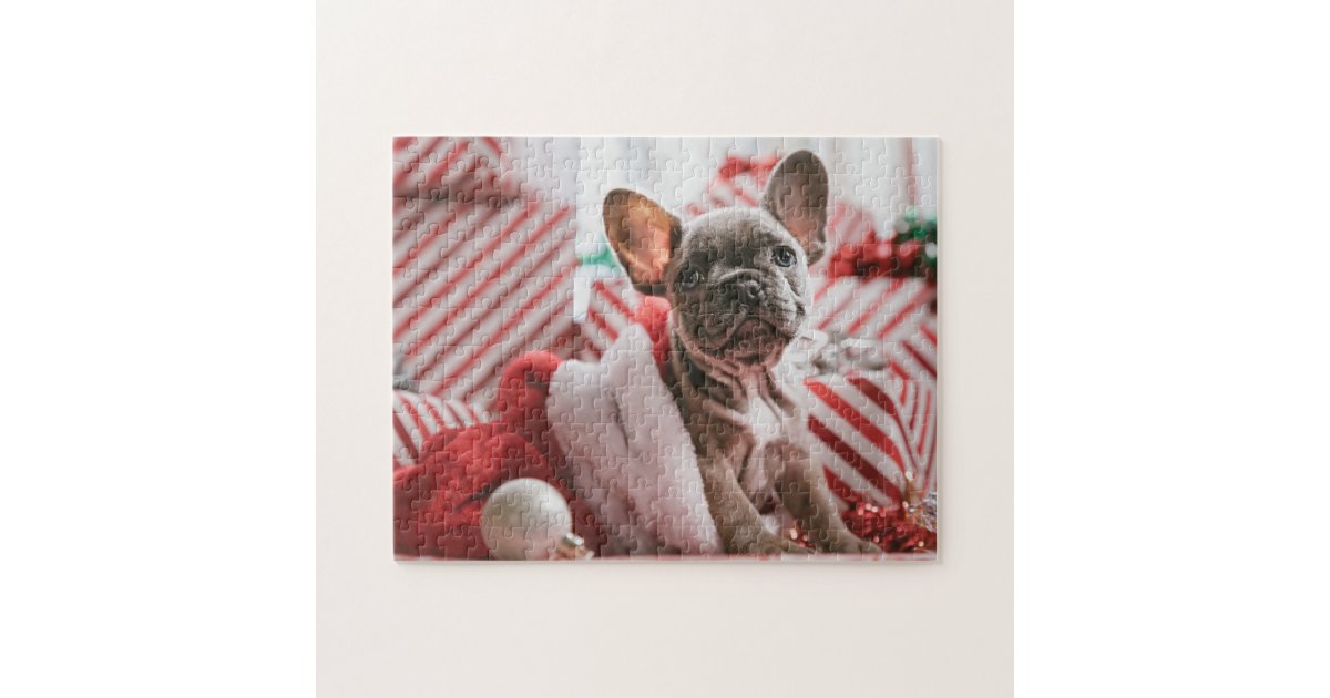 https://rlv.zcache.com/french_bulldog_at_christmas_jigsaw_puzzle-rc184249964694391bf265f4a6a73ae83_amb07_8byvr_630.jpg?view_padding=%5B285%2C0%2C285%2C0%5D