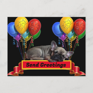 French Bulldog Balloon French Bulldog Postcard