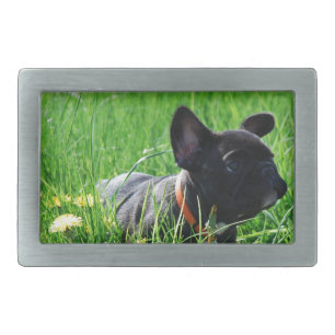 French Bulldog Belt Buckle