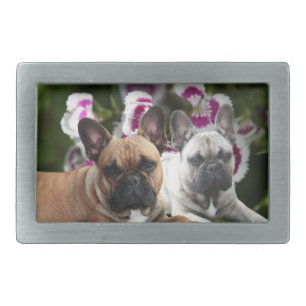 French Bulldog Belt Buckle