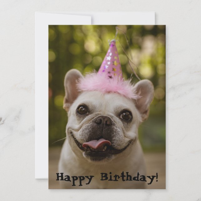 French Bulldog Birthday Card (Front)