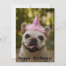 French Bulldog Birthday Card
