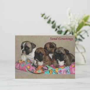 French Bulldog Birthday French Bulldog
