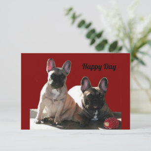 French Bulldog Birthday French Bulldog Invitation