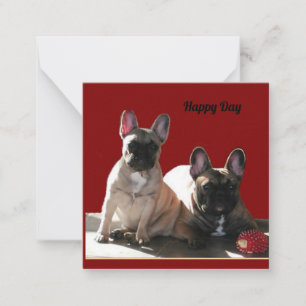 French Bulldog Birthday French Bulldog Note Card