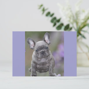 French Bulldog Birthday French Bulldog Save The Date