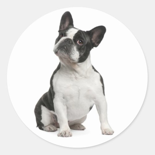 French Bulldog Black And White Puppy Dog Classic Round Sticker