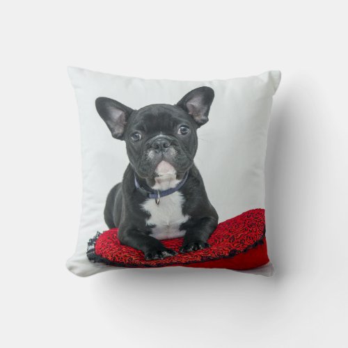 French Bulldog Black Pillow Photo