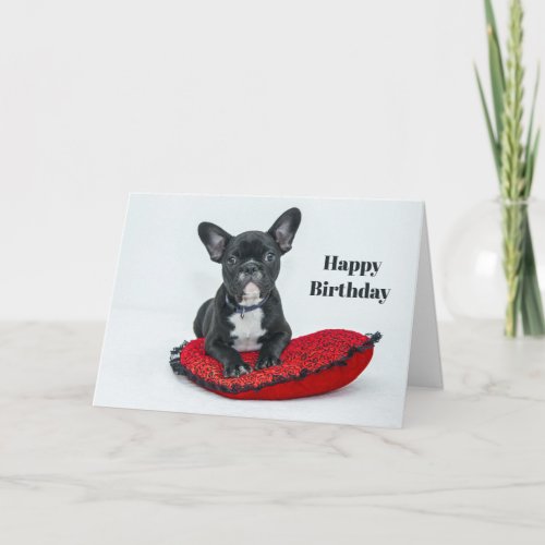 French Bulldog Black Pillow Photo Birthday Card