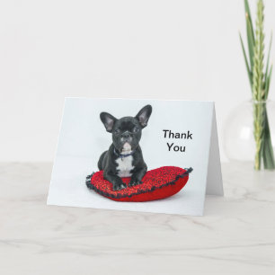 French Bulldog Black Pillow Photo Letterpress Thank You Card