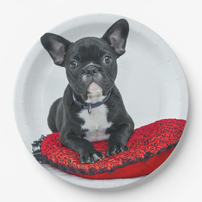 French Bulldog Black Pillow Photo Paper Plates (Front)