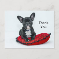 French Bulldog Black Pillow Photo Thank You