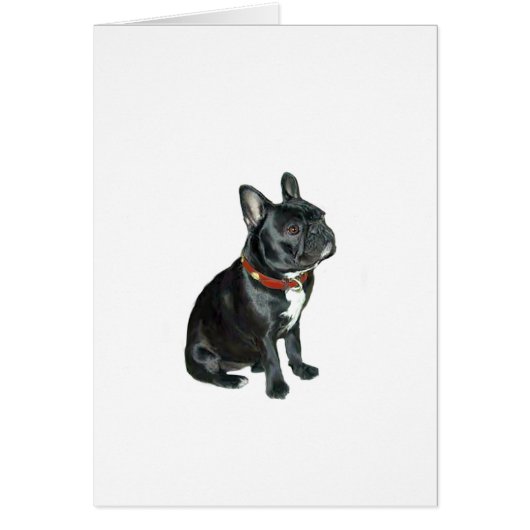 French Bulldog - Black with red collar (Front)