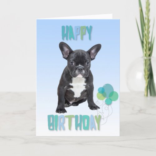 French Bulldog Blue Happy Birthday Greeting Card