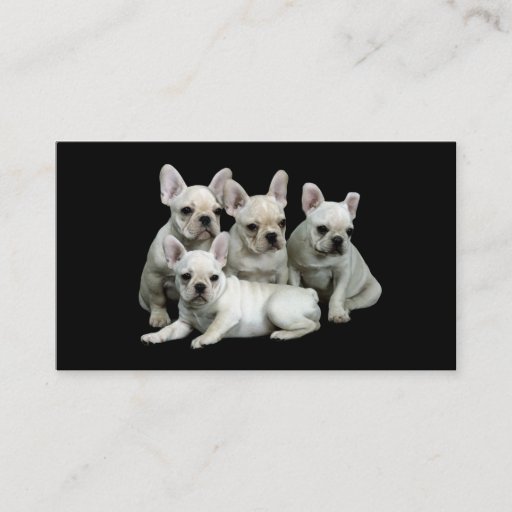 Customizable French Bulldog Breeder Business Card