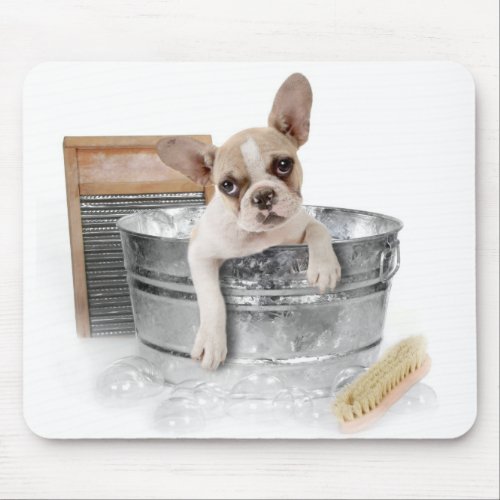 French Bulldog Brown  White Puppy Dog Taking Bath Mouse Pad