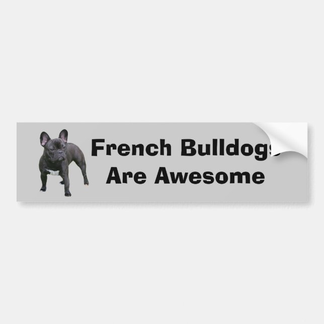 French Bulldog Bumper Sticker (Front)