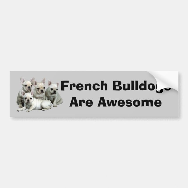 French Bulldog Bumper Sticker (Front)