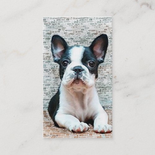 French Bulldog business cards