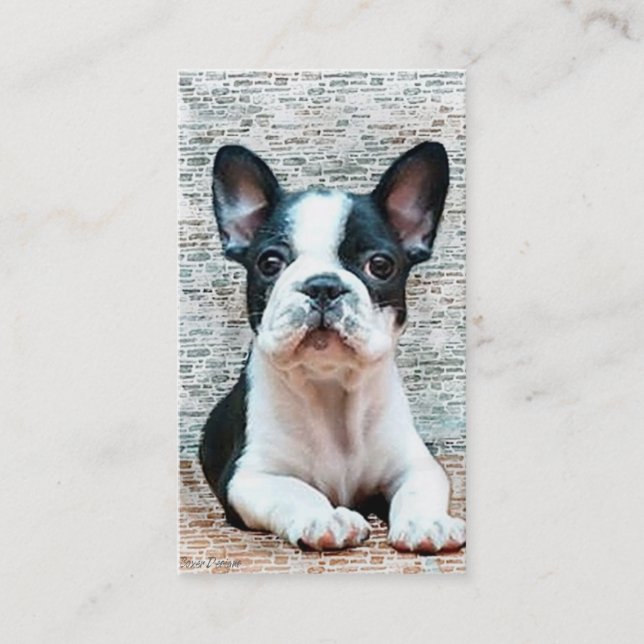 French Bulldog business cards (Front)