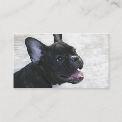 Customizable French Bulldog business cards