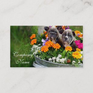 French Bulldog business cards