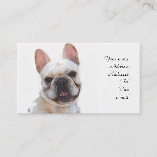 French Bulldog business cards