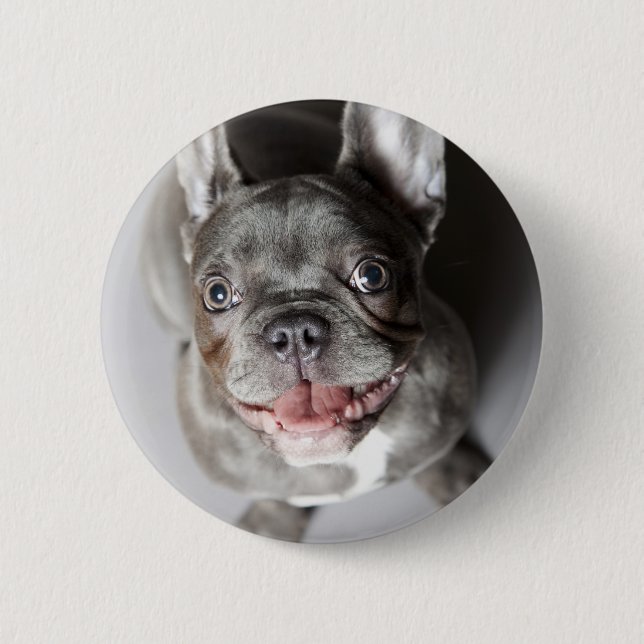 French bulldog button (Front)