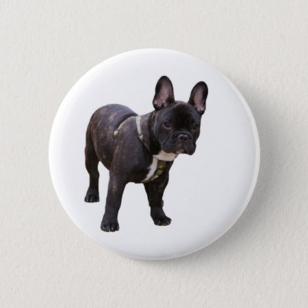 French Bulldog Button, Pin, Gift Idea Pinback Button