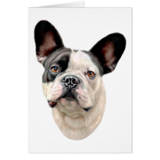 French Bulldog BW Bust (Front)