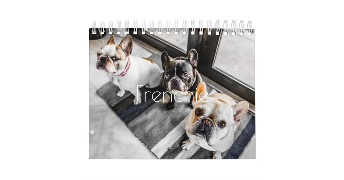 French Bulldog Calendar | Zazzle
