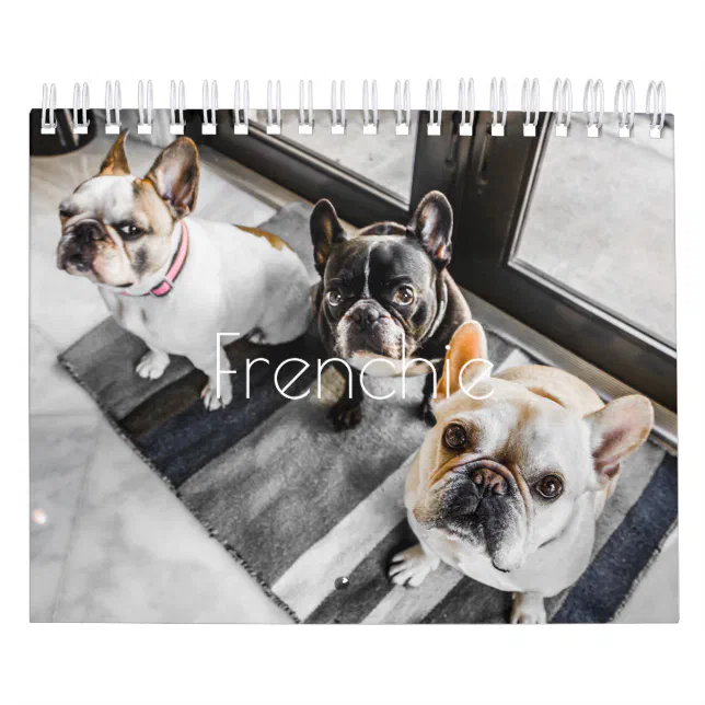 French Bulldog Desk Calendar 2025