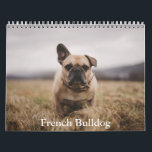French Bulldog Calendar<br><div class="desc">A Calendar with 12 different pictures of French Bulldog</div>