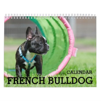 French Bulldog Calendar 2024 by online_store at Zazzle