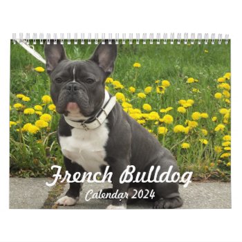 French Bulldog Calendar 2024 Add Your Photos by online_store at Zazzle