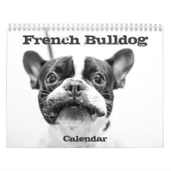 French Bulldog Calendar 2024 Black And White by online_store at Zazzle