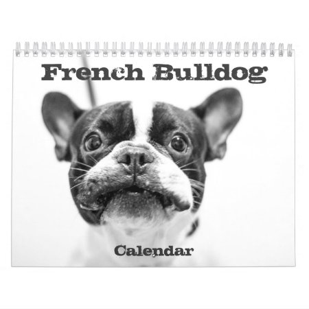 French Bulldog Calendar 2024 Black And White