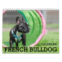 French Bulldog Calendar 2026