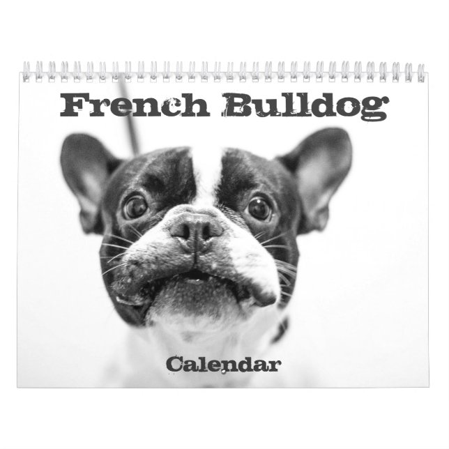 French Bulldog Calendar 2026 Black And White (Cover)