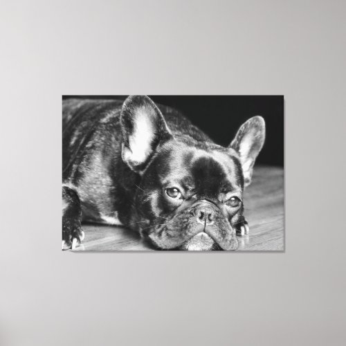 French Bulldog Canvas Print