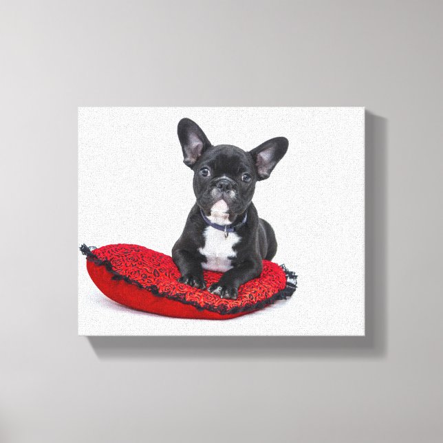 French bulldog canvas print (Front)