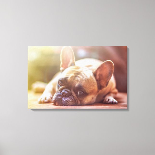 French Bulldog Canvas Print (Front)