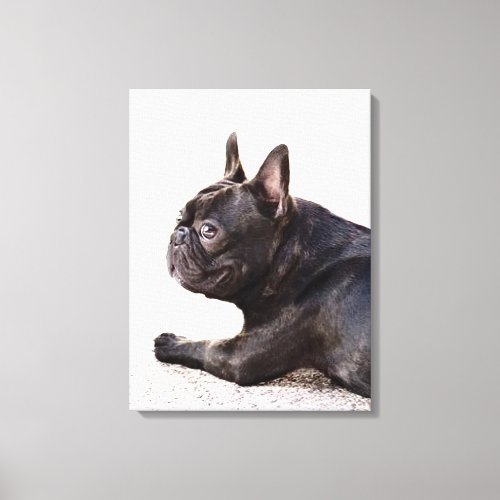 French Bulldog Canvas Print