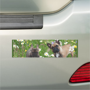 French Bulldog Car Magnet