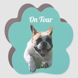 French Bulldog Car Magnet On Tour