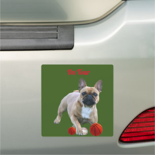 French Bulldog Car Magnet On Tour