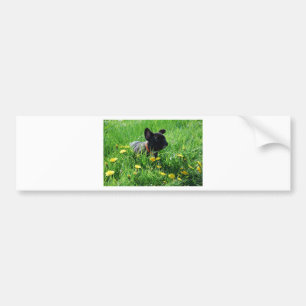 French Bulldog Car Stickers