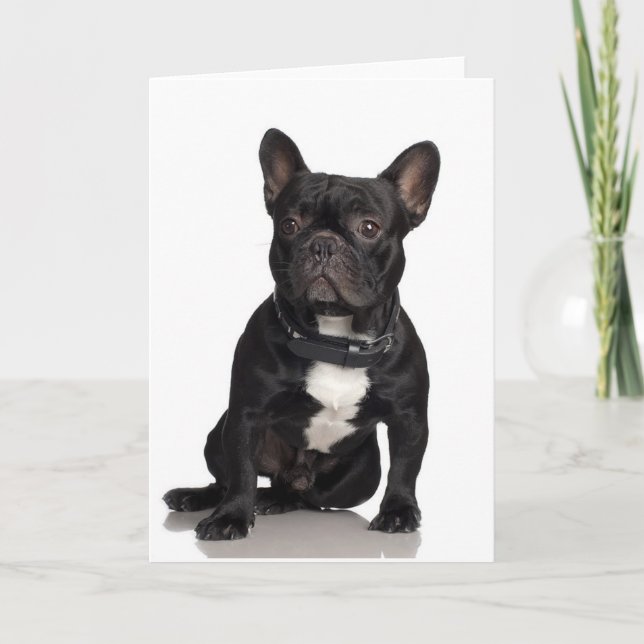 French Bulldog Card (Front)