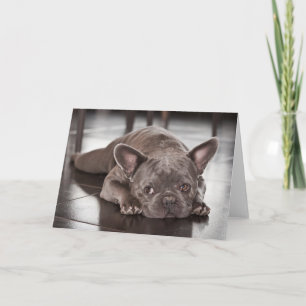 French Bulldog Card