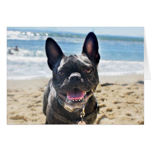 French Bulldog Cards (Front Horizontal)